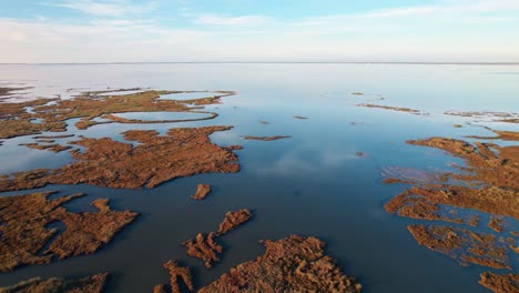 Aerial-circling-over-unique-coastal-vegetation,-clouds-reflecting-in-water