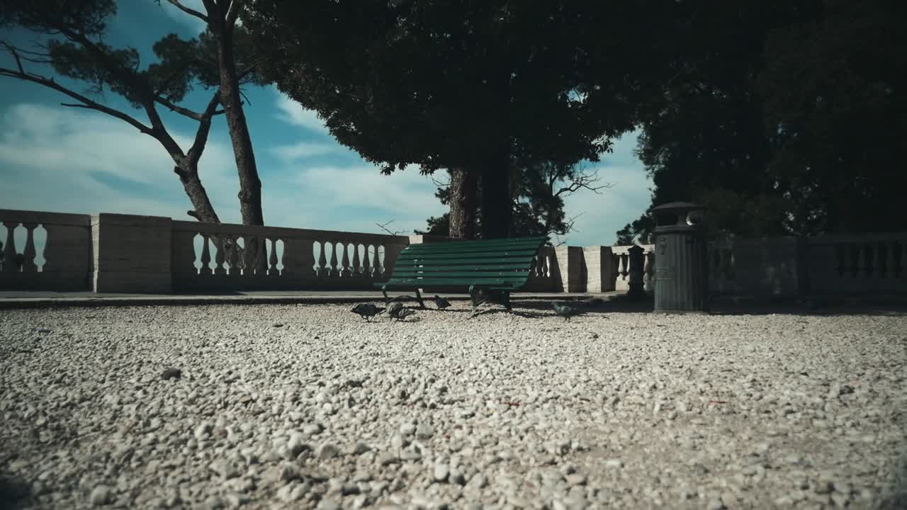 Pidgeons in Villa Borghese in Rome HFR