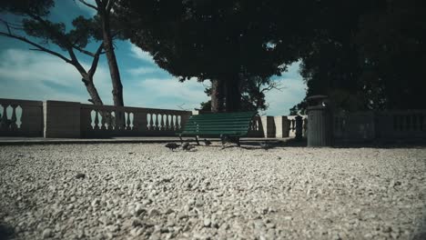 pidgeons in villa borghese in rome hfr