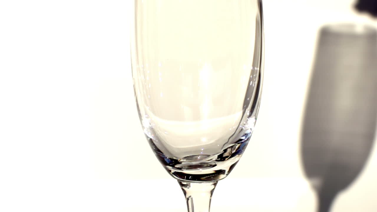 슬로우 모션 샴페인 글래스 00