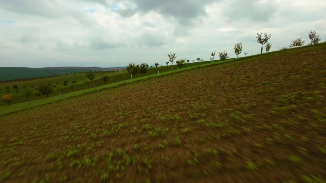 disfrute de los vibrantes colores del otoño en moravia del sur.