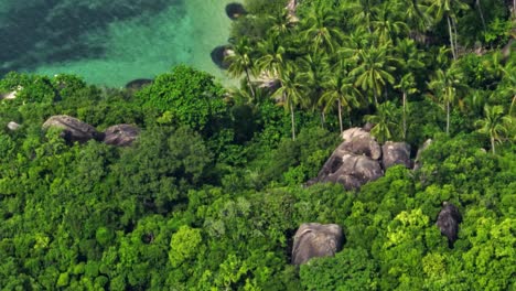 Close-up-shot-of-coastline-and-jungle,-Koh-Tao,-Thailand