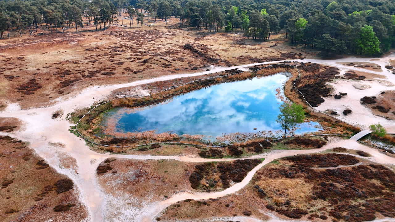 Tranquil blue pond scene. A tranquil pond reflects the sky amidst dry terrain and lush trees, showcasing nature's harmony in a peaceful setting