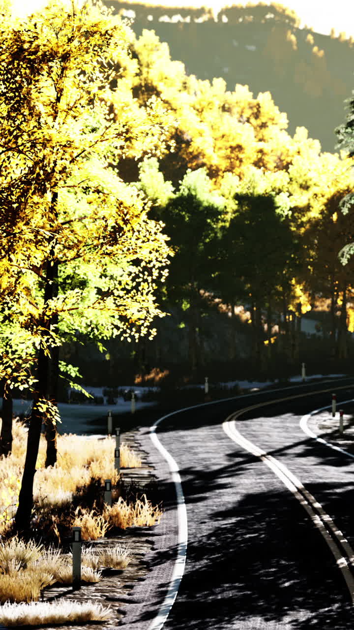 나무들을 가로질러 가을의 길