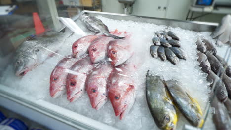 Various-types-of-whole-fish-organized-with-ice-in-fishmongers-seafood-market-display-case,-HD