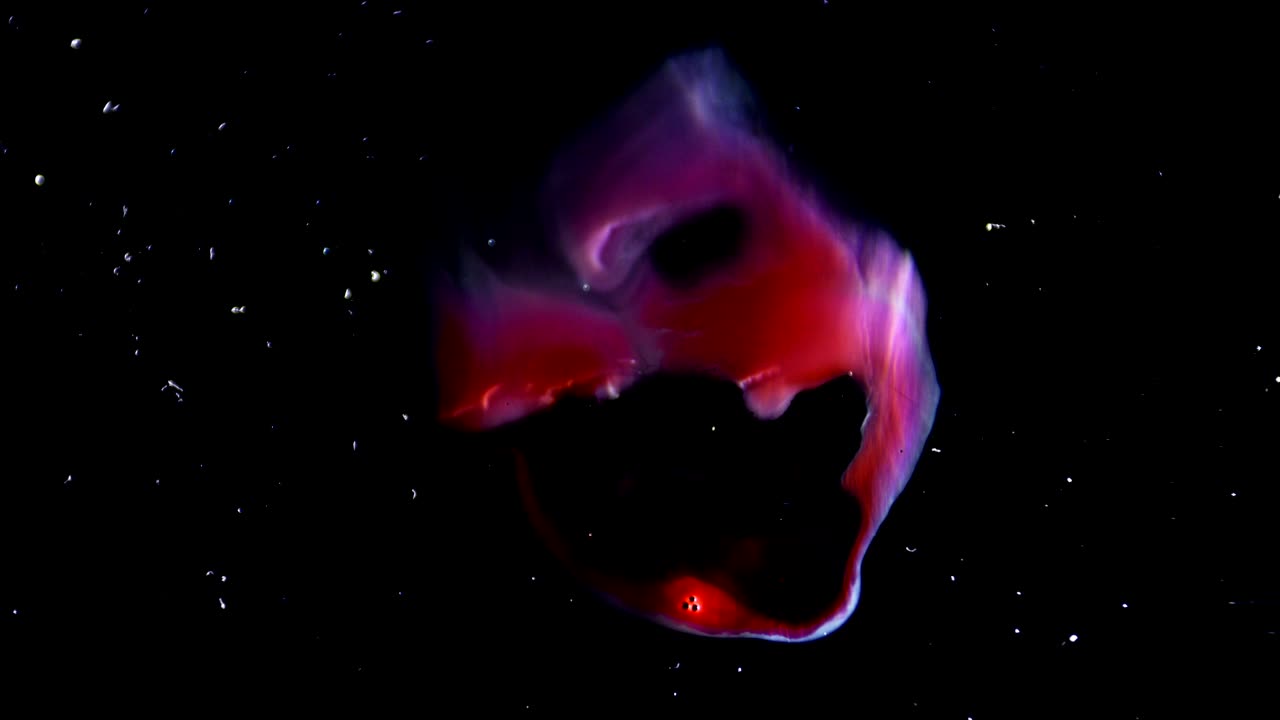 Red and Blue Space Nebula clouds cosmic texture background / liquid ink reaction