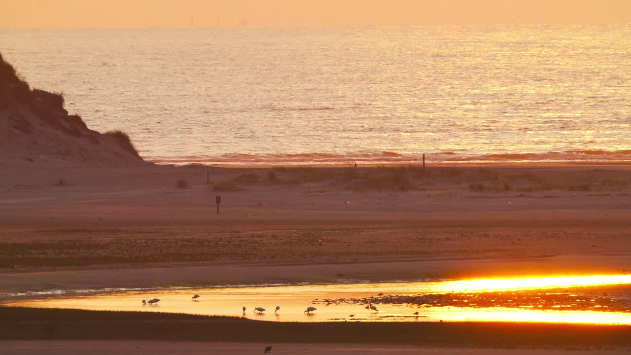 sensacional playa vacía en texel holanda a la hora dorada, estática
