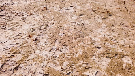 Trockener-Bodenhintergrund---Wüstenszene---Drohnenaufnahme