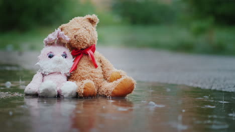 Treue-Freunde---Ein-Hase-Und-Ein-Bärenjunges-Sitzen-Nebeneinander-Auf-Der-Straße-Nass-Im-Strömenden-Regen-Lo-Rain