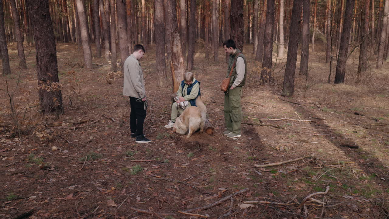 친구 들 이 숲 에서 발굴 하는 개 를 지켜보고 있다