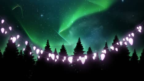 Glowing-fairy-lights-decoration-against-multiple-trees-and-shining-stars-in-the-night-sky