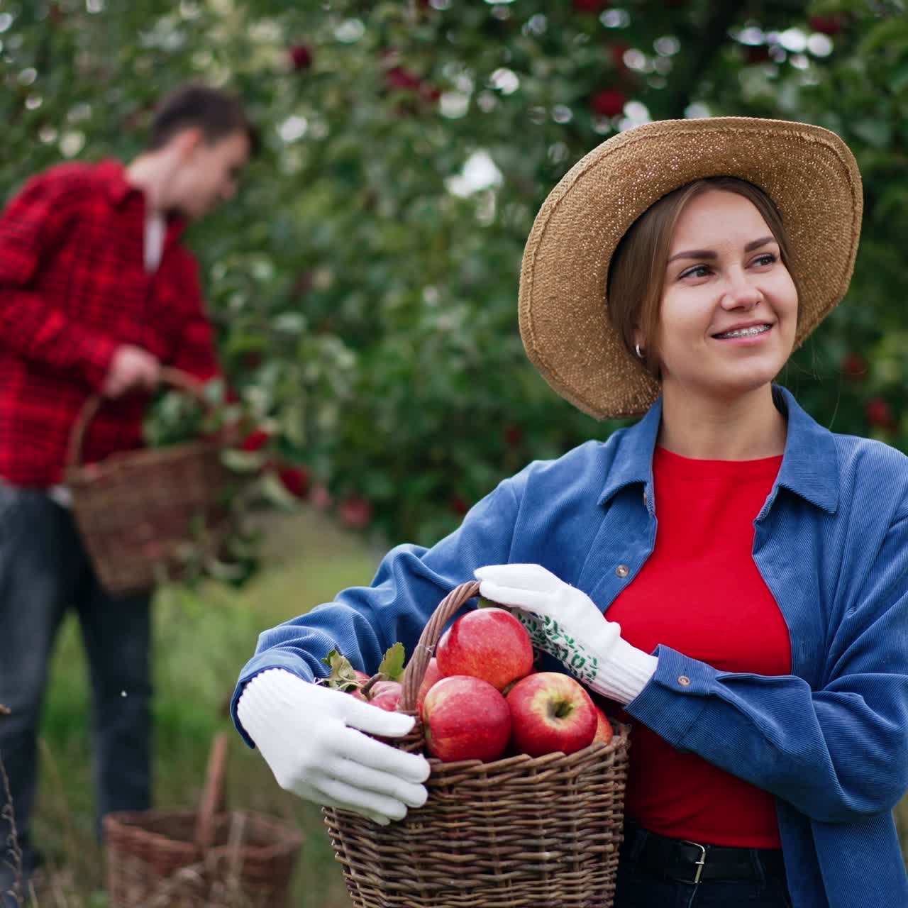 Resilient smiling lady in hat holding a basket of red apples. Male in red shirt at backdrop picking fruit from trees in blur