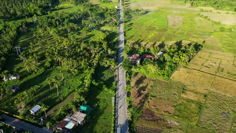 aerial hyperlapse of busy provincial countryside road surrounded by lush greenery and rice paddies at tropical island catanduanes, philippines.