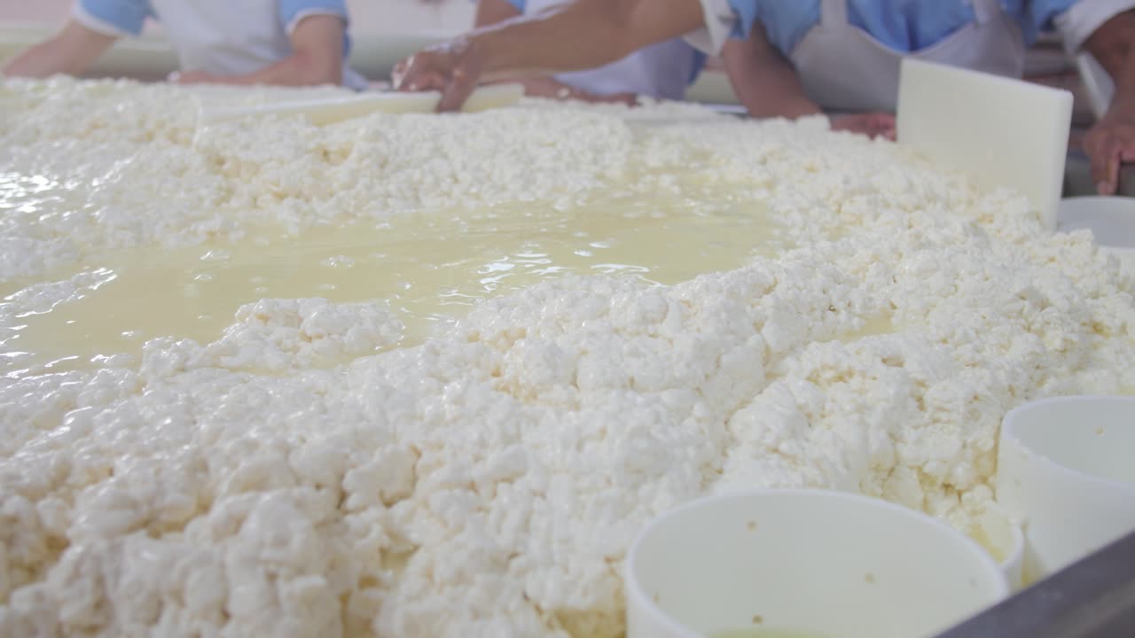 Workers move frozen milk for the next production process at the cheese factory