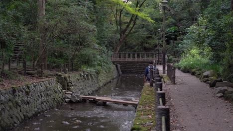 male hiker walking next to river inside todoroki valley park in central tokyo