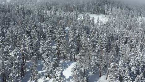 White-winter-mountain-landscape,-drone-aerial-view,-snow-capped-forest-under-fog-on-cold-sunny-day