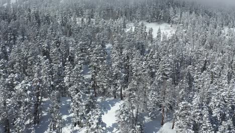 Paisaje-De-Montaña-De-Invierno-Blanco,-Vista-Aérea-De-Drones,-Bosque-Cubierto-De-Nieve-Bajo-La-Niebla-En-Un-Día-Frío-Y-Soleado