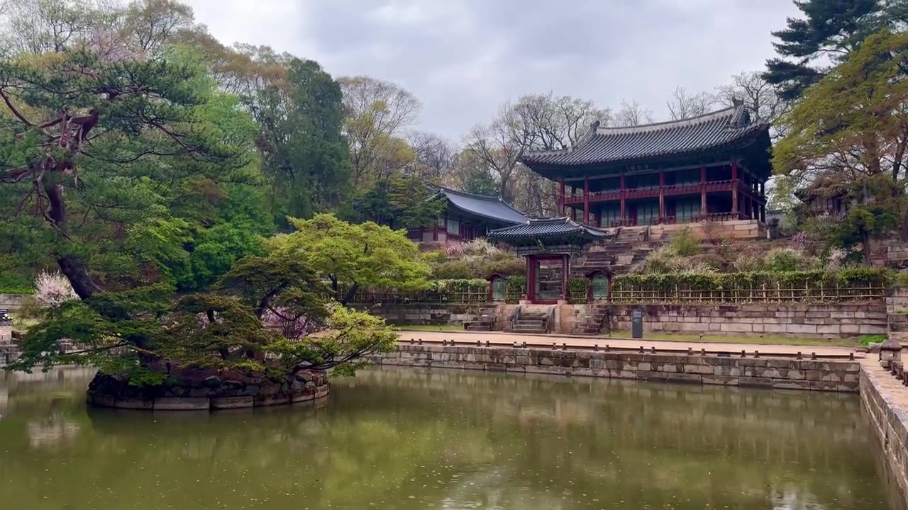 Il Padiglione Aeryeonjeong del Giardino Segreto di Changdeokgung è un piccolo e pacifico padiglione vicino allo stagno Aeryeonji, circondato dalla natura e caratterizzato da un design semplice in legno, che crea una scena calma e naturale con tenui riflessi.