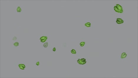 animación de hojas de monstruos verdes abstractas en bucle de 4k