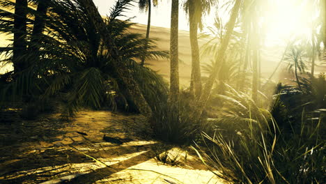 golden sunlight filtering through lush tropical foliage in a serene landscape