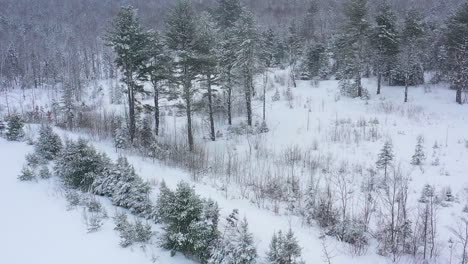 飞上飞出一个覆盖着雪的田野向远处的森林慢动作空中