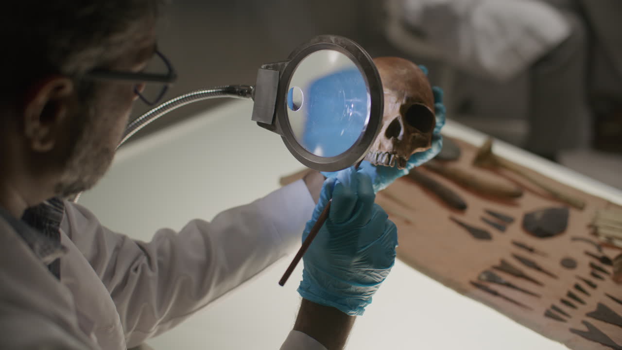 Scientist Cleaning Ancient Skull under Magnifying Glass for Lab Research