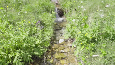 Pequeño-Arroyo-Fluye-A-Través-De-Un-Prado-En-Los-Alpes-Italianos