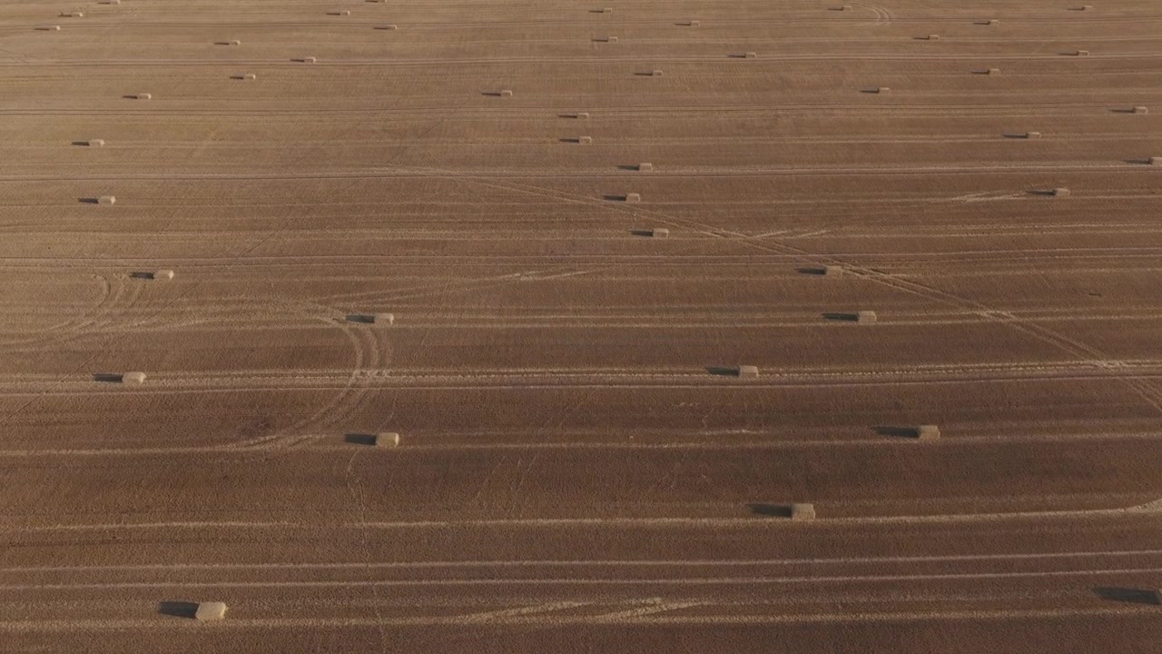 Aerial view of a vast harvested wheat field covered with evenly spaced rectangular hay bales.
