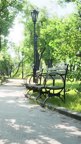 a row of benches in a park with green grass and trees