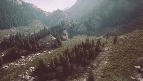 cross-road-on-hillside-meadow-in-mountains