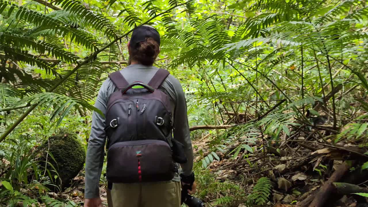 Hiking through a lush green jungle trail