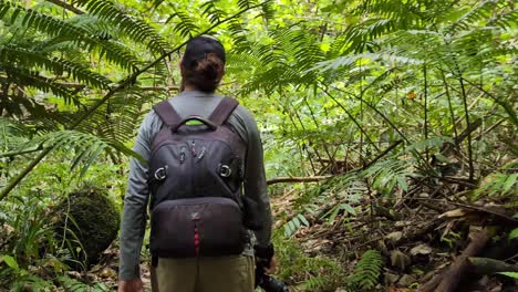 hiking through a lush green jungle trail