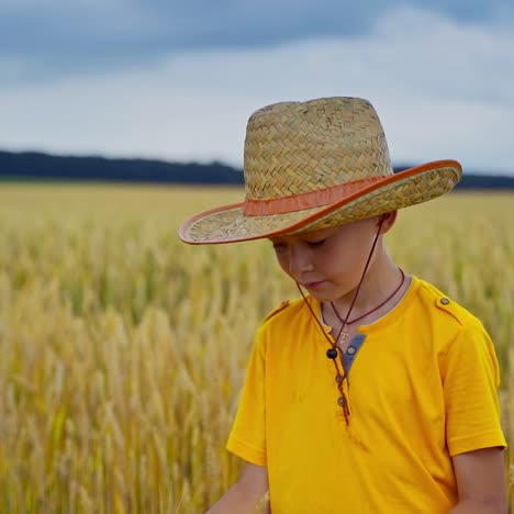 portrait of a smiling boy outdoors. little child in straw hat and yellow t-shirt standing inside the agriculture field and looking to camera.