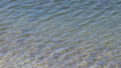 clear water with gentle ripples and sunlight reflections