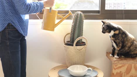 Mujer-Caucásica-Regando-Sus-Plantas-En-Casa