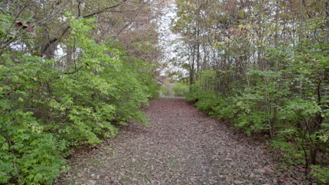 Drone-view,-moving-through-leaf-covered-trail-in-the-autumn-forest