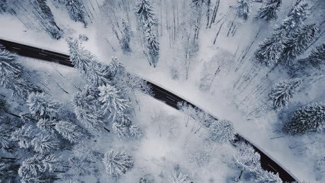 Toma-Aérea-Inclinada-Hacia-Arriba-De-Un-Coche-Blanco-En-Una-Carretera-Asfaltada-Entre-Un-Paisaje-De-Bosque-Nevado-En-Alemania