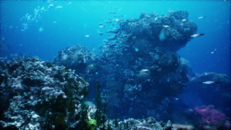 stunning underwater coral reef scene with colorful fish