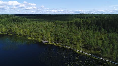 Rised-bog-aerial-wide-view-in-autumn-colors