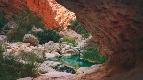 a lush rock canyon river is flowing through a desert area - rock canyon in oman