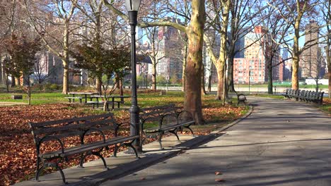 autumn leaves blanket a lonely park in new york city with park benches all around 1