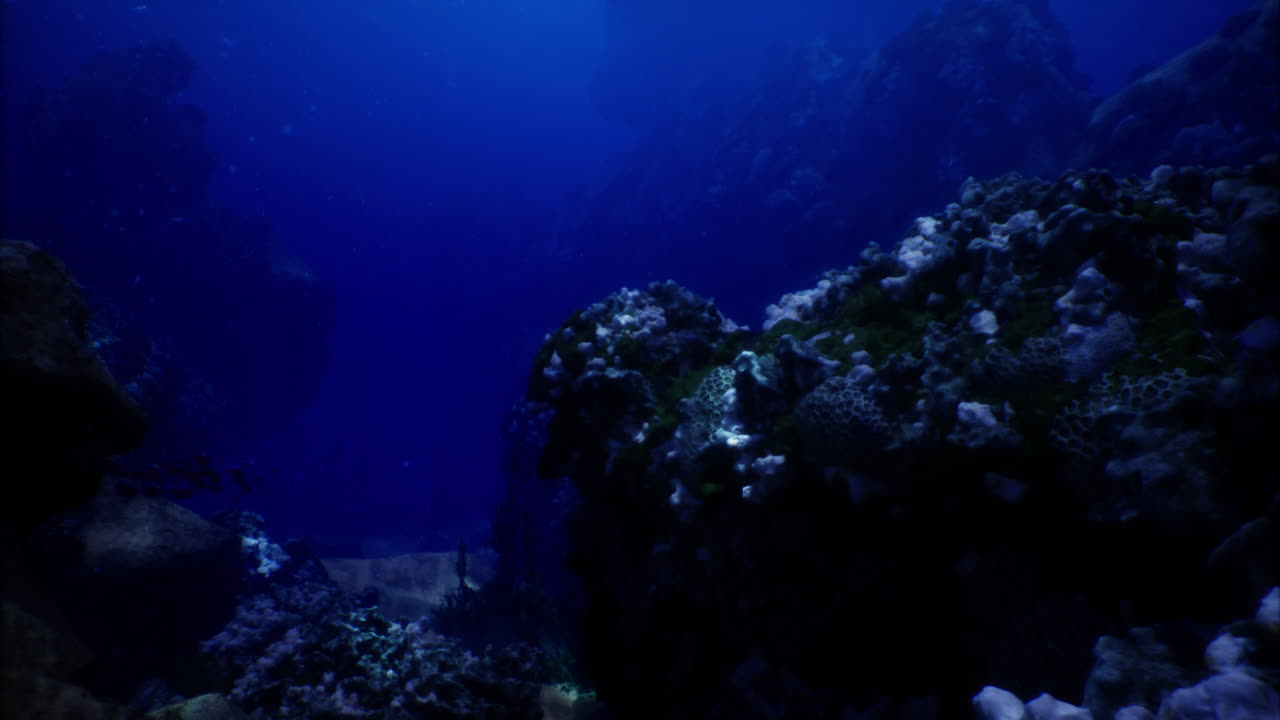 Vibrant coral reef ecosystem thriving in deep blue ocean waters