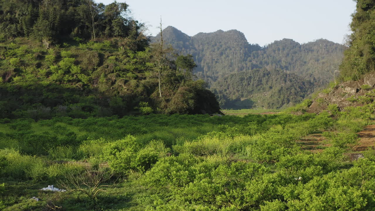 Aerial drone footage capturing vast fields stretching toward majestic mountains. This stunning view highlights natural landscapes, perfect for travel, agriculture, or outdoor adventure projects.