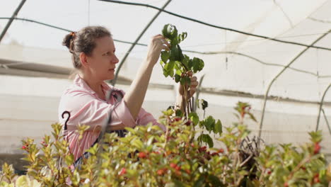 gardener in striped apron tending plants in greenhouse, focused on work