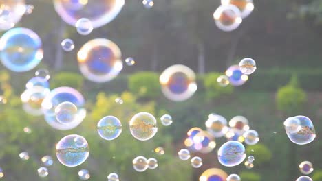 soap bubbles floating in the air with natural green blurred bokeh background for children and kids in the park