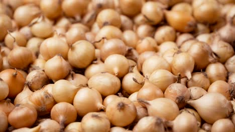 el fondo de rotación de las cebollas blancas