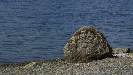 Camano-Island-State-Park,-WA-State-beach-with-rocks-and-boulder