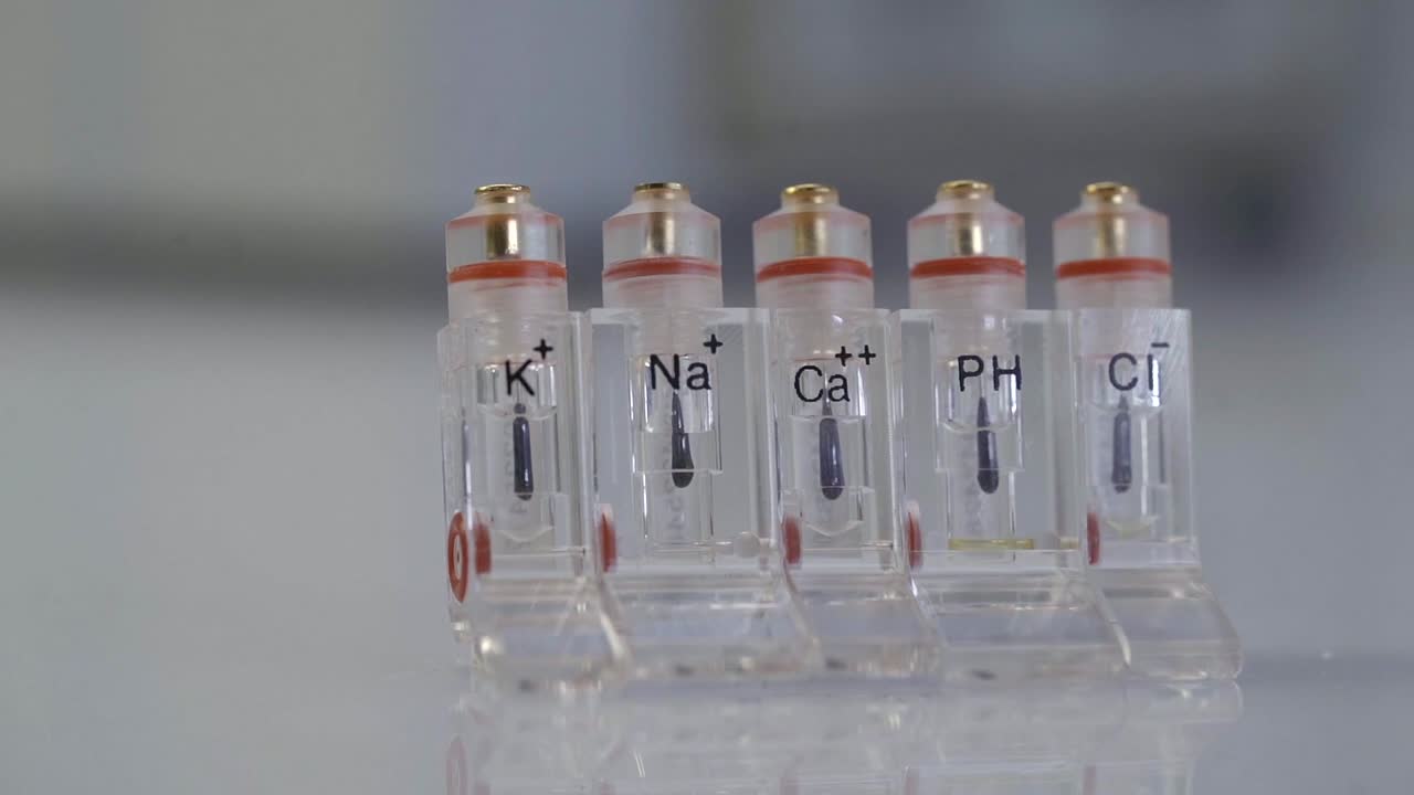 실험실에서 테스트를 위해 라벨이 붙은 전해질 분석기 전극