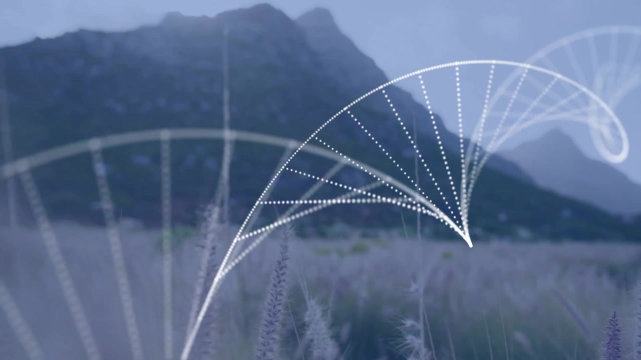 Græsstrå flettes sammen med hvide stiplede buer, der skaber digitale datastier hen over tågede bjergskråninger.