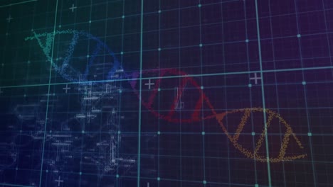 파란색 배경에 대한 다채로운 dna 구조를 통해 그리드 네트워크의 디지털 애니메이션